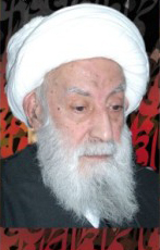 آیت الله شهید صدر 
