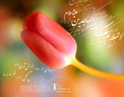حق زبان