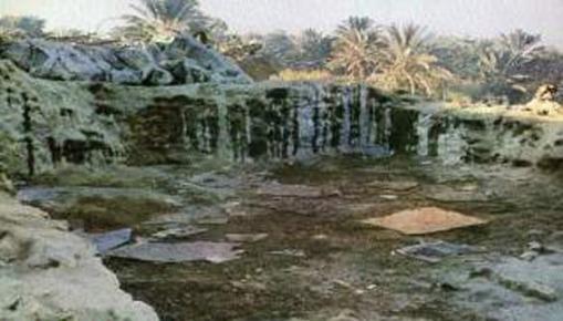  امام سجاد ( علیه السلام ) و دفاع فرهنگى