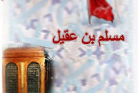 پیرو ولایت 