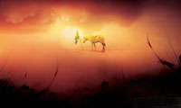  آسيب‏ شناسى فرهنگ سياسى عاشورا (2)