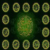 Shia Followers are Supporters of Islamic Leadership (Vilaya)