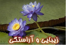 زیبایی و آراستگی