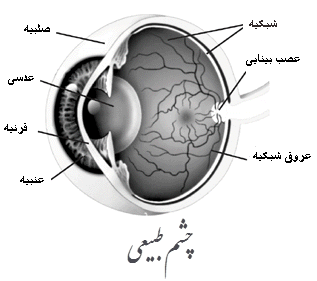 چشم يا جلوه‏اى از عظمت قدرت حق‏