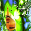 بسلسلۂ شہادت امام رضا (ع)تعزیت عرض ہے، شہادت امام رضا عليہ السلام کے اہم نکات