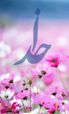 شناخت خدا مبنای شناخت وظائف انسان  