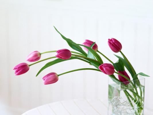 هدیه بردن برای بیمار دستور دین است؟!