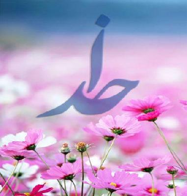 غرق شدن در رفاه و دنیازدگی موجب فراموشی خدا است