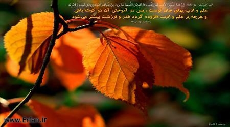 نسخه ای شفا بخش!