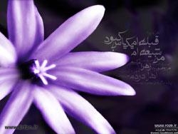 جناب فاطمہ(ع) حضرت رسول خدا (ص)کی اکلوتی بیٹی 
