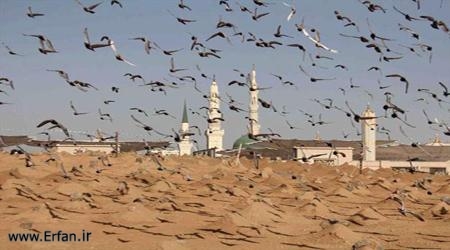 تخریب بقیع، مزد رسالت یا مبارزه با شرک؟