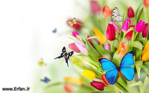 آراستگی انسان به اخلاق فاضله 