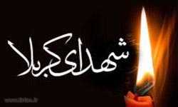 شهداى كربلا، پيشوايان زاهدان تاريخ‏