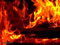حدیث ثقلین کی تحقیق (حصّہ سوّم)