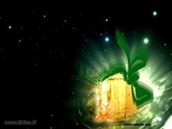 حضرت زہراء (ع) کا جناب ابوبکر سے اختلاف اور اس کی تحقیق