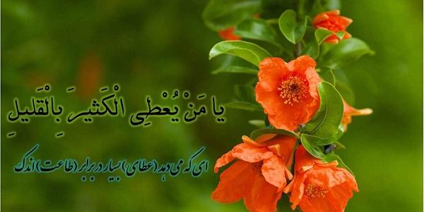 چه ذکرها و دعاهایی در ماه رجب مورد سفارش قرار گرفته است؟