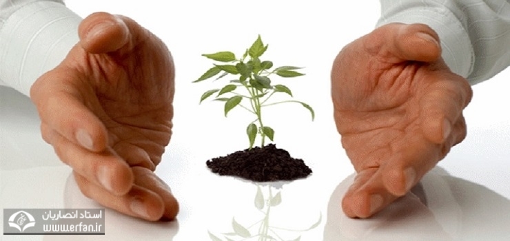 توصیه هایی برای افزایش روزی