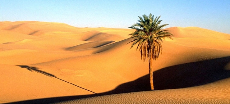 قيمت و ارزش انسان واقعى