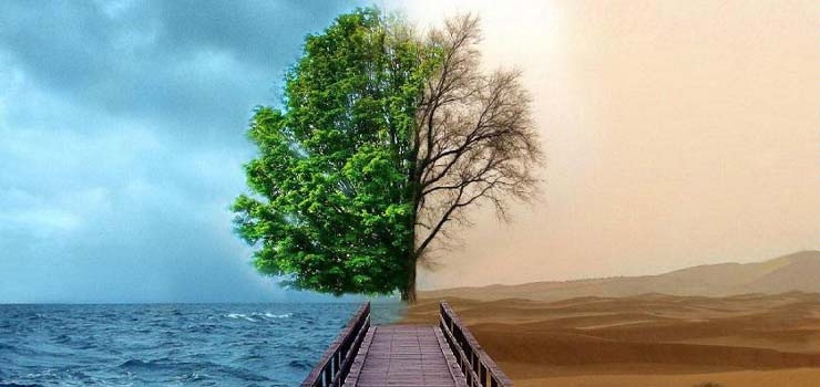 آیا انسان در برزخ می‌تواند به خدا و ائمّه نزدیک‌تر شود؟