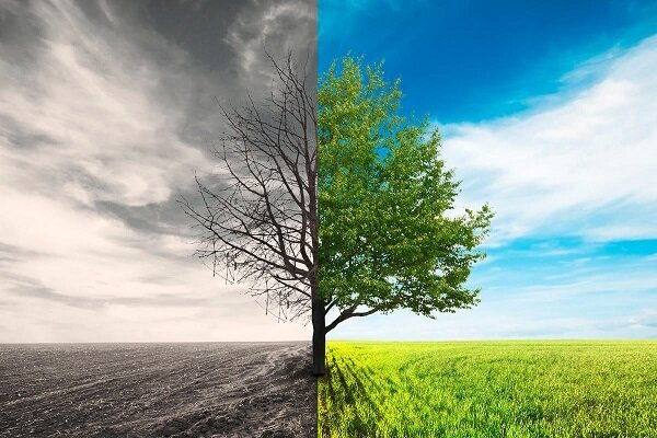 بازگشت به دنیا برای جبران اعمال!  